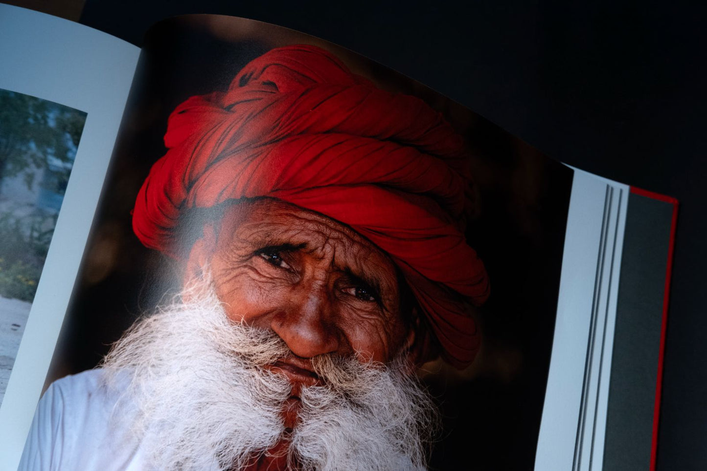 Ghosts of the Granite Hills: A Visual Journey Through Jawai's Wildlife Ecosystem | Kairav Engineer