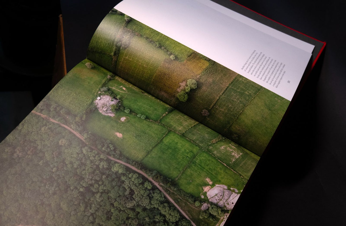 Ghosts of the Granite Hills: A Visual Journey Through Jawai's Wildlife Ecosystem | Kairav Engineer