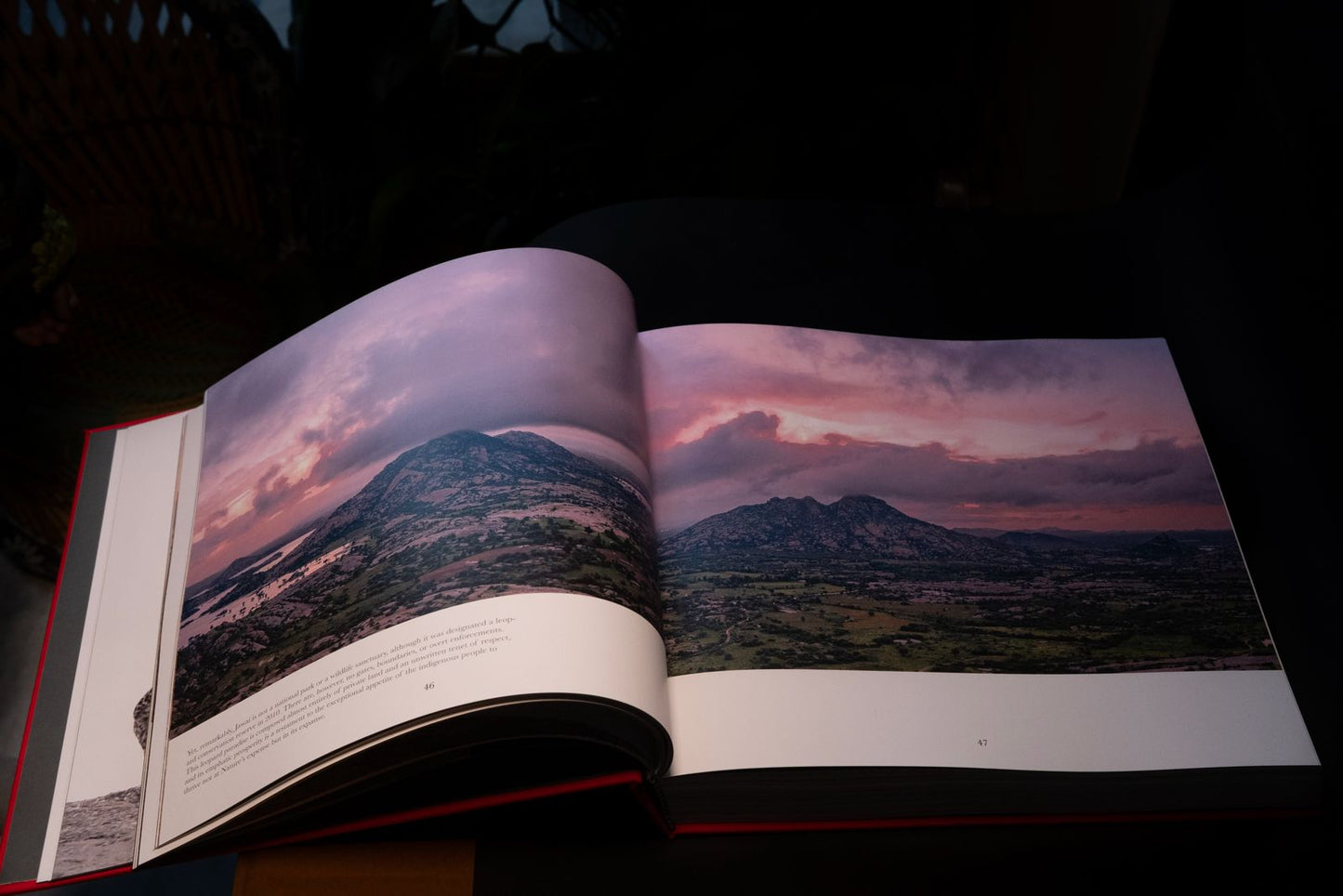 Ghosts of the Granite Hills: A Visual Journey Through Jawai's Wildlife Ecosystem | Kairav Engineer